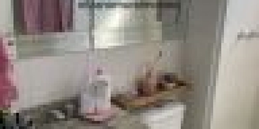 2481ec0eb1e9c0775229824122b95946