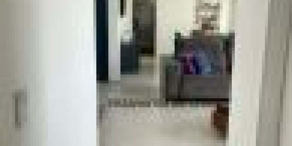 2ea76cfadf450a933599a2ff4e49a1ba