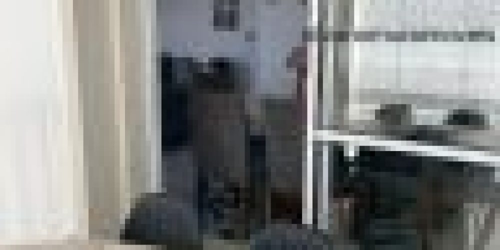 c85ec667d3d1841d7c6407ce44294e1c