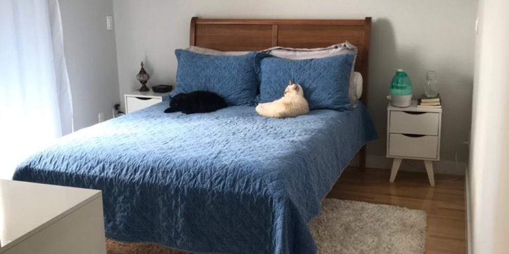 de771fc8-8704-49c8-b923-95067df18906